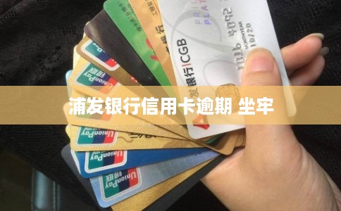 浦发银行信用卡逾期 坐牢