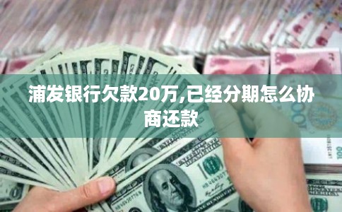 浦发银行欠款20万,已经分期怎么协商还款