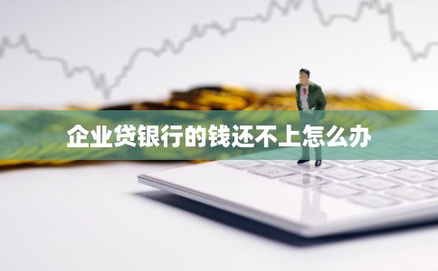 企业贷银行的钱还不上怎么办