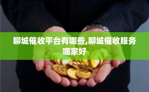 聊城催收平台有哪些,聊城催收服务哪家好