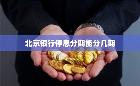 北京银行停息分期能分几期