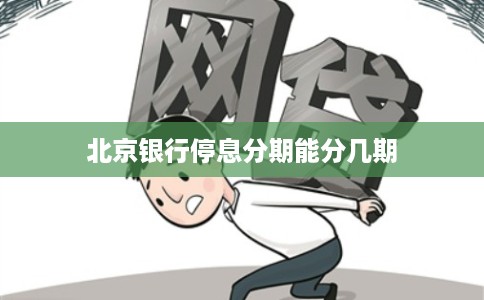 北京银行停息分期能分几期