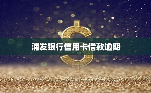 浦发银行信用卡借款逾期