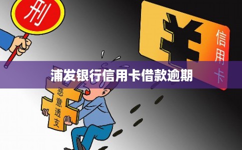 浦发银行信用卡借款逾期