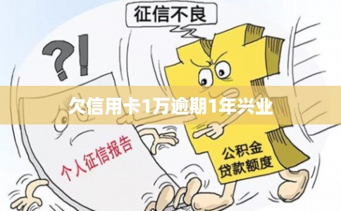 欠信用卡1万逾期1年兴业