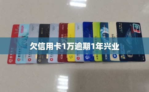 欠信用卡1万逾期1年兴业