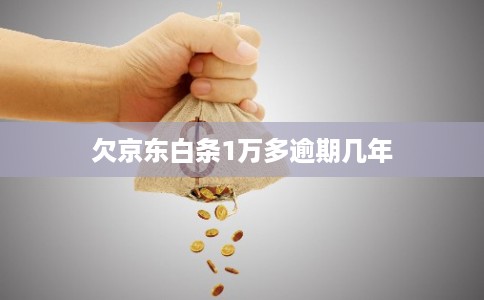 欠京东白条1万多逾期几年
