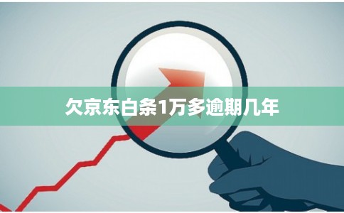 欠京东白条1万多逾期几年