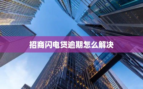 招商闪电贷逾期怎么解决