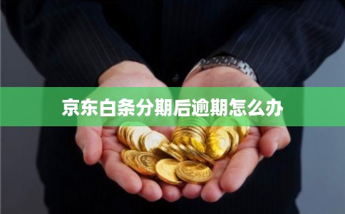 京东白条分期后逾期怎么办