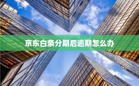 京东白条分期后逾期怎么办