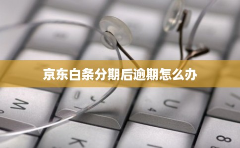 京东白条分期后逾期怎么办