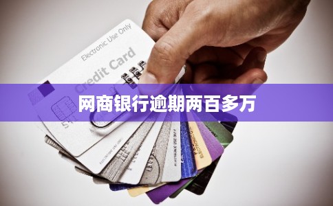 网商银行逾期两百多万 网商银行逾期两百多万