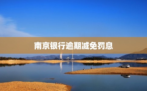 南京银行逾期减免罚息