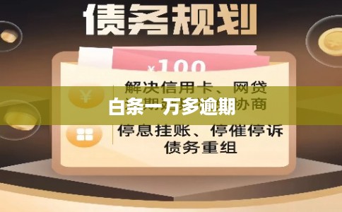 白条一万多逾期
