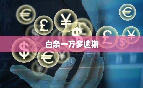 白条一万多逾期