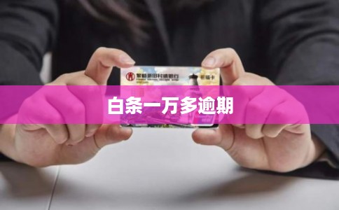 白条一万多逾期