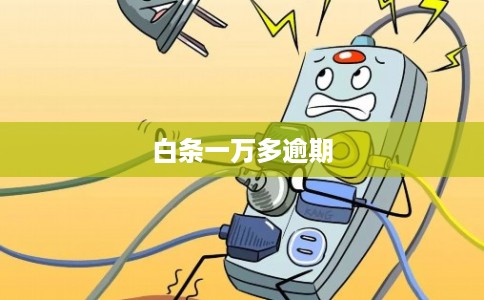 白条一万多逾期