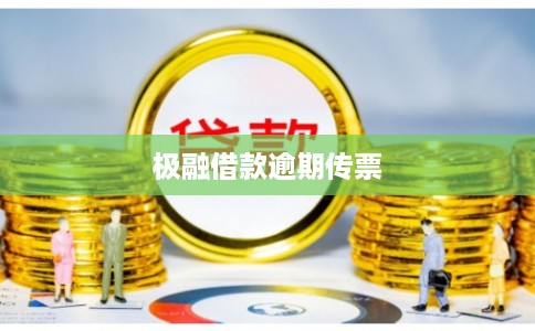 极融借款逾期传票