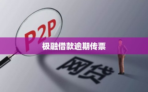 极融借款逾期传票
