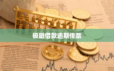 极融借款逾期传票
