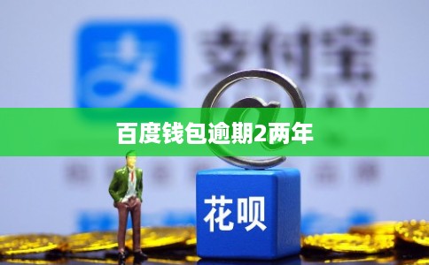 百度钱包逾期2两年