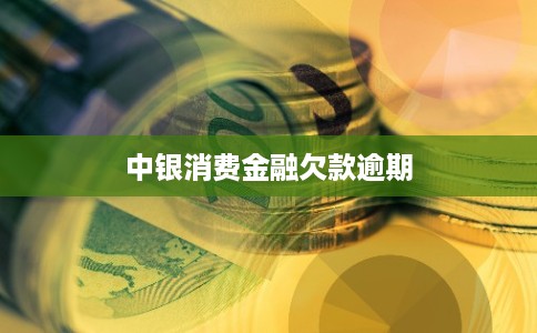 中银消费金融欠款逾期
