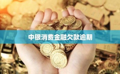 中银消费金融欠款逾期