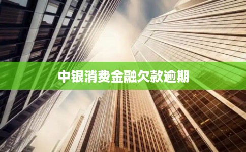 中银消费金融欠款逾期