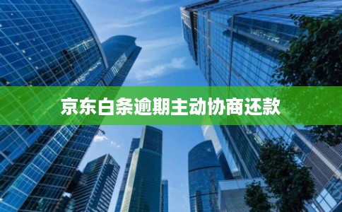 京东白条逾期主动协商还款