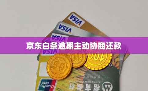 京东白条逾期主动协商还款