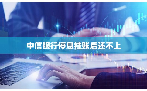 中信银行停息挂账后还不上