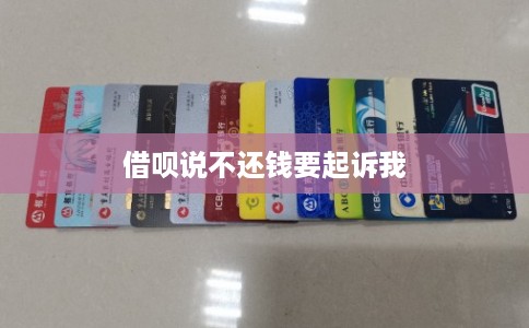 借呗说不还钱要起诉我