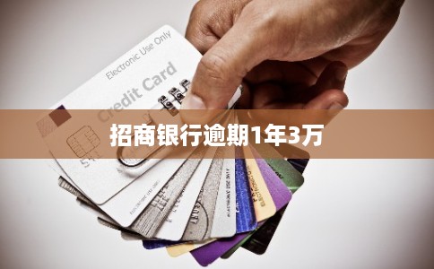 招商银行逾期1年3万