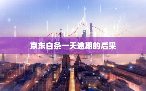 京东白条一天逾期的后果