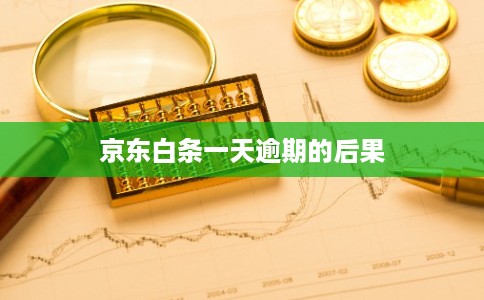 京东白条一天逾期的后果