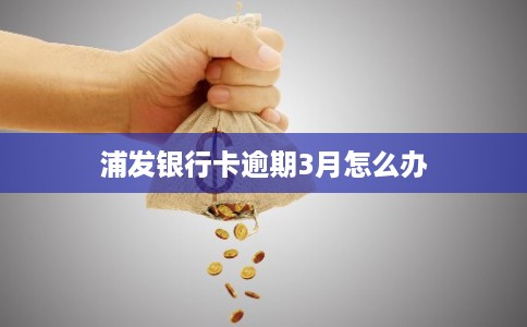 浦发银行卡逾期3月怎么办