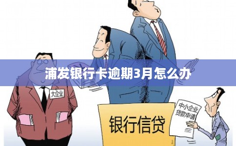 浦发银行卡逾期3月怎么办