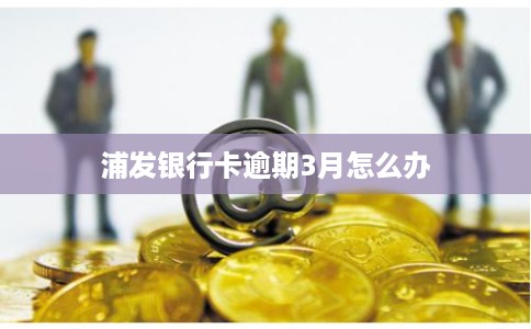 浦发银行卡逾期3月怎么办