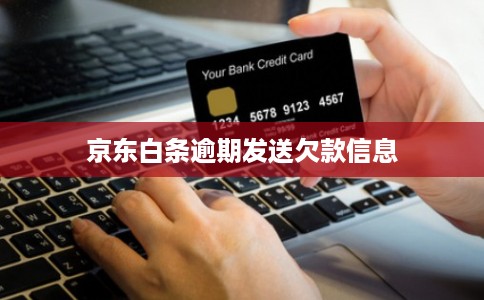 京东白条逾期发送欠款信息