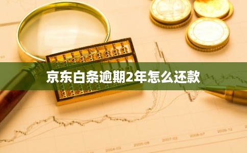 京东白条逾期2年怎么还款