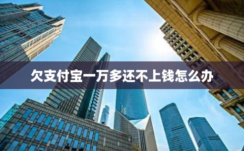 欠支付宝一万多还不上钱怎么办