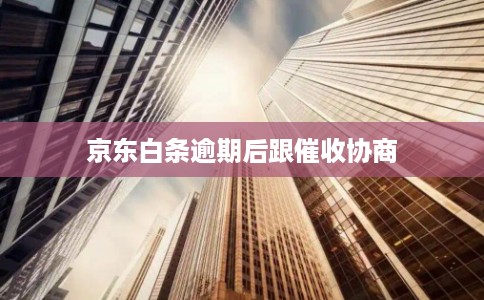 京东白条逾期后跟催收协商