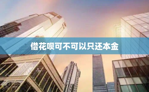 借花呗可不可以只还本金