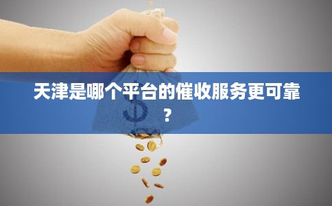 天津是哪个平台的催收服务更可靠？