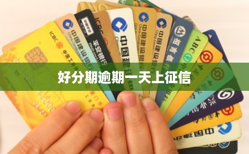 好分期逾期一天上征信
