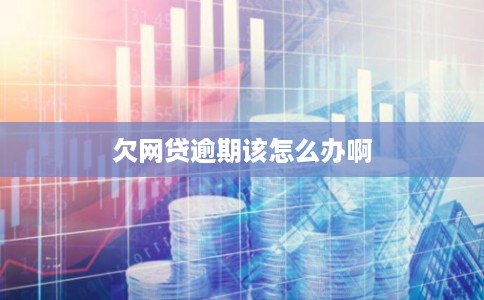 欠网贷逾期该怎么办啊 欠网贷逾期该怎么办啊