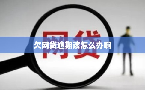 欠网贷逾期该怎么办啊 欠网贷逾期该怎么办啊