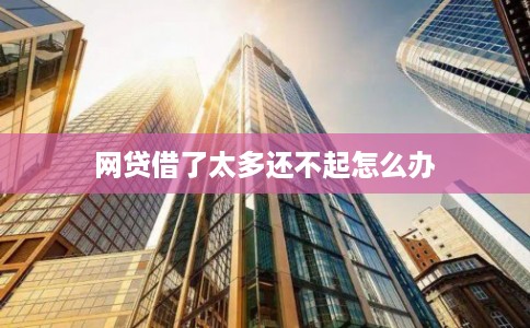 网贷借了太多还不起怎么办
