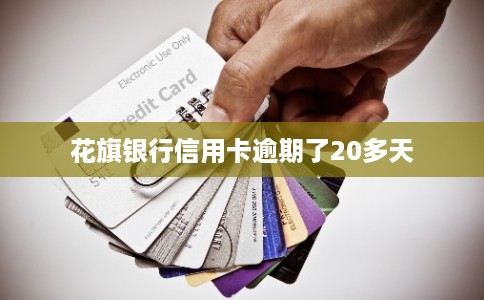 花旗银行信用卡逾期了20多天 花旗银行信用卡逾期了20多天